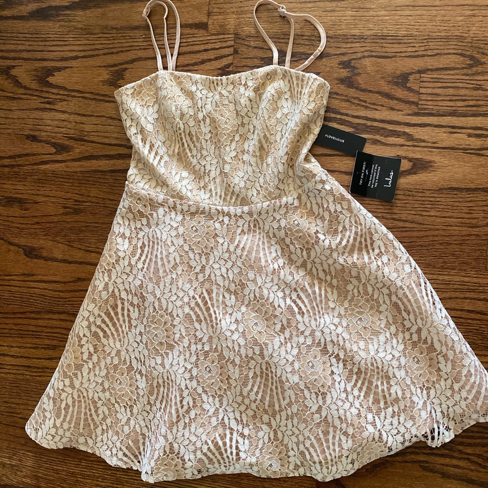 Lace Skater Dress